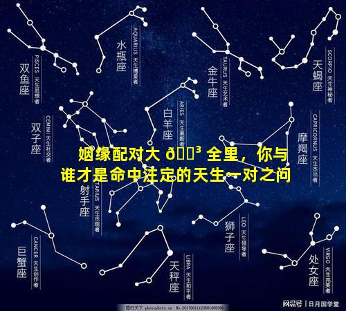 姻缘配对大 🌳 全里，你与谁才是命中注定的天生一对之问